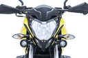 PROTECTOR DE FAROL FP NS 200